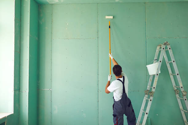 Best Asbestos and Lead Testing During Mold Inspection  in Petersburg, MI