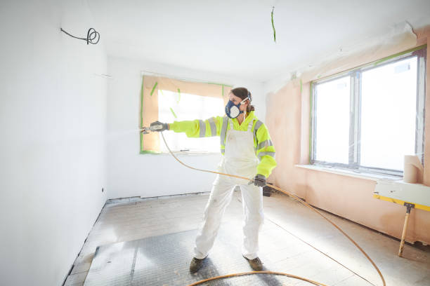 Best Commercial Mold Inspection  in Petersburg, MI