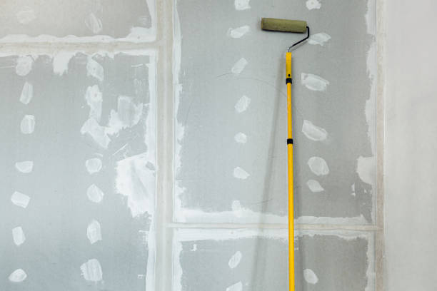 Trusted Petersburg, MI Mold Removal Experts