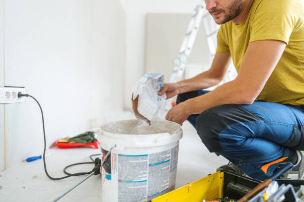 Reliable Petersburg, MI Mold Removal Solutions