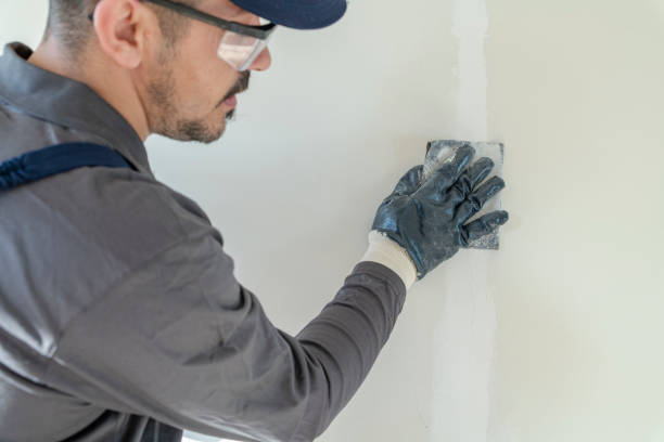 Best Air Quality Testing for Mold Spores  in Petersburg, MI