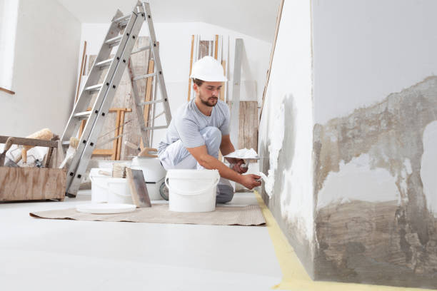  Petersburg, MI Mold Removal Pros